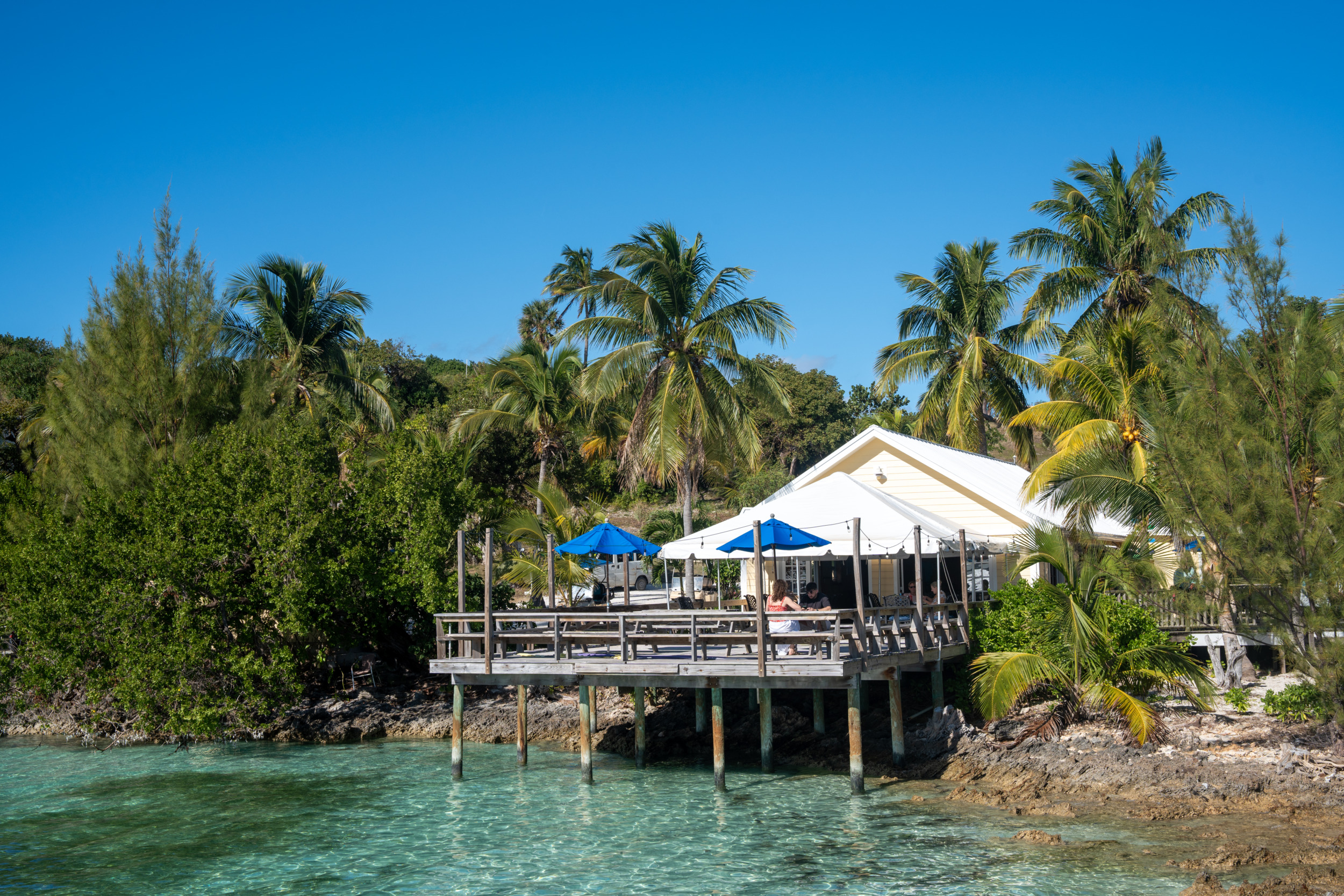 Tranquil Turtle Beach Bar