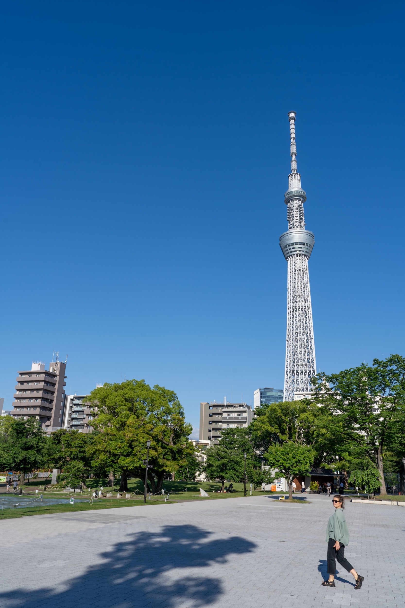 beste Reisezeit Tokio