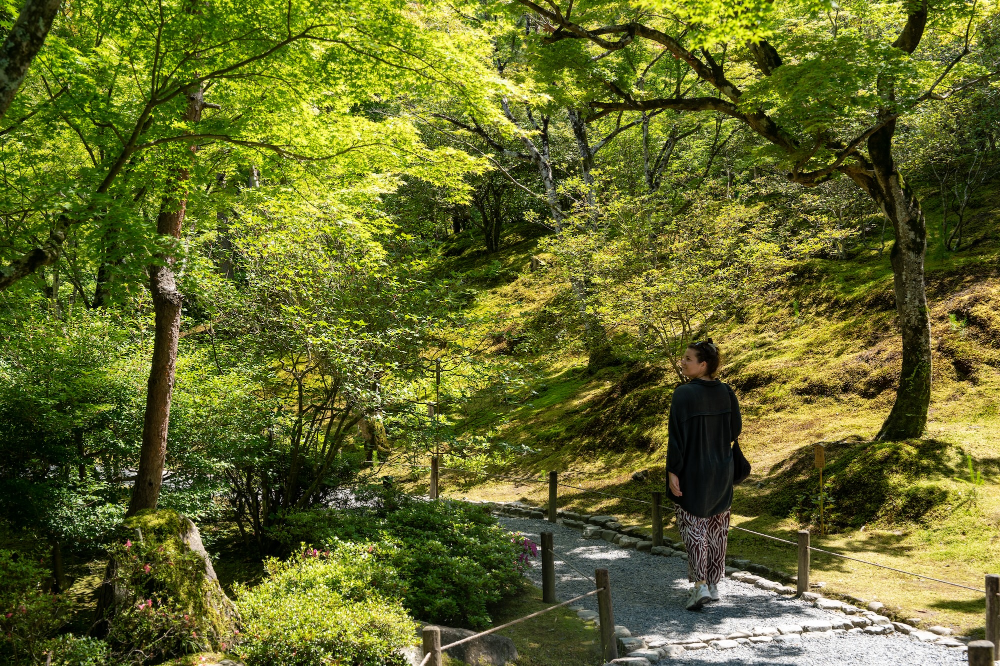 Herbst in Japan