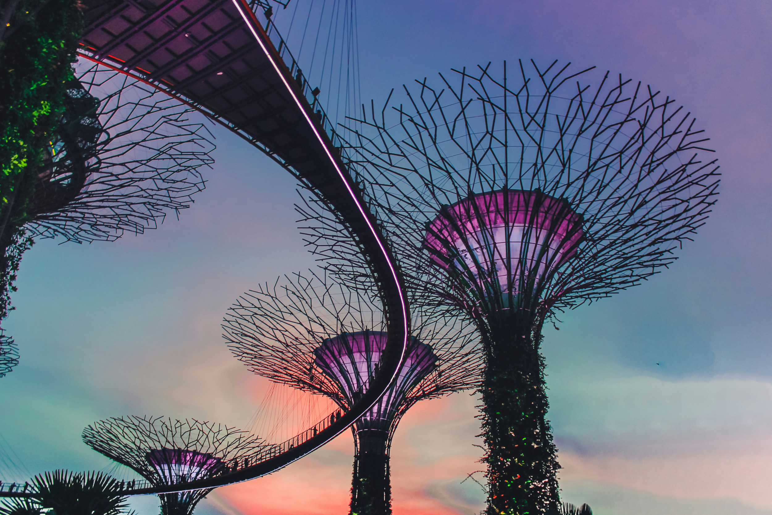 Gardens by the Bay Singapur