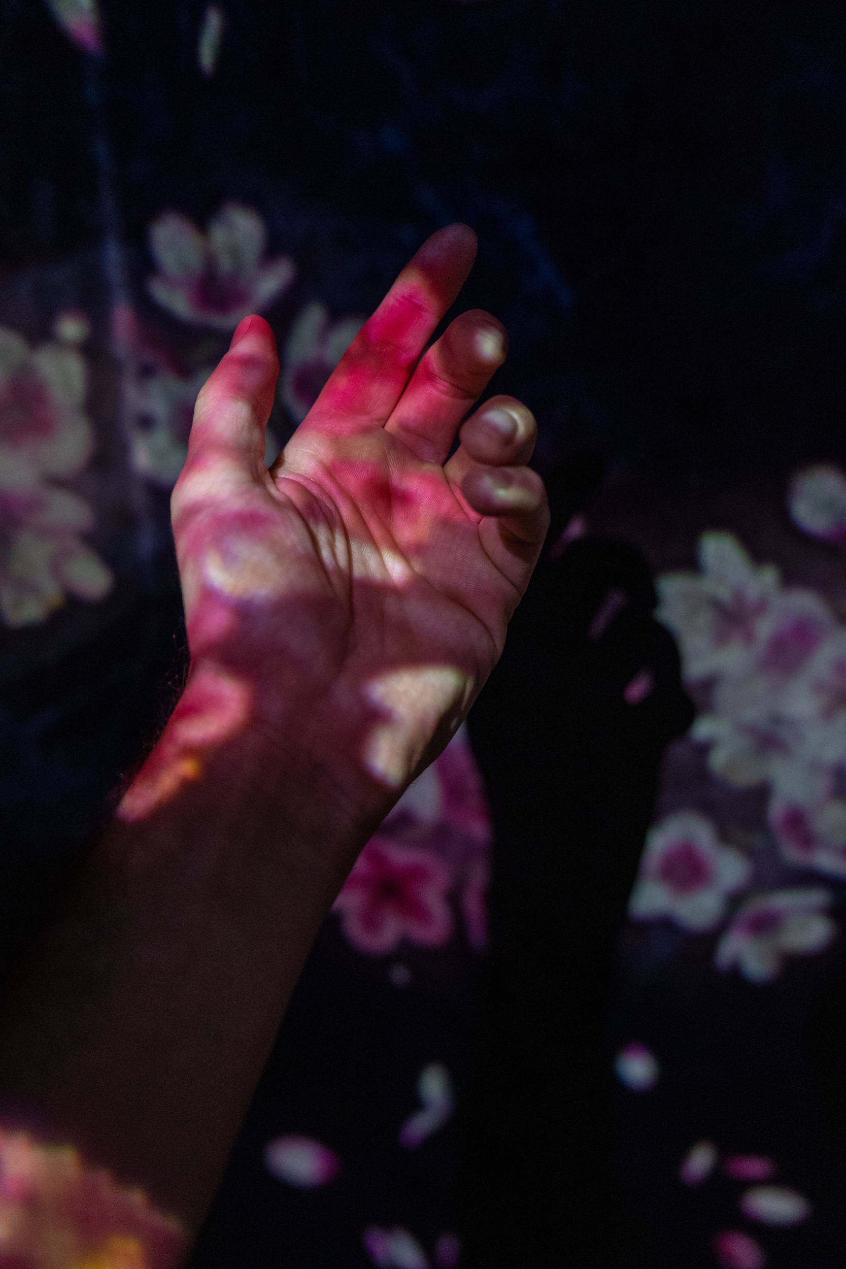 teamlab Borderless Tokio