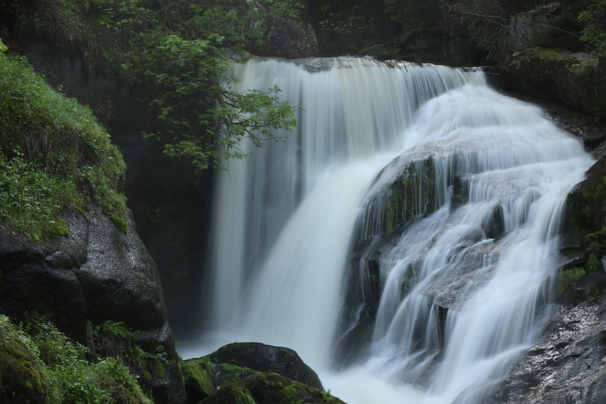 Triberger Wasserfälle