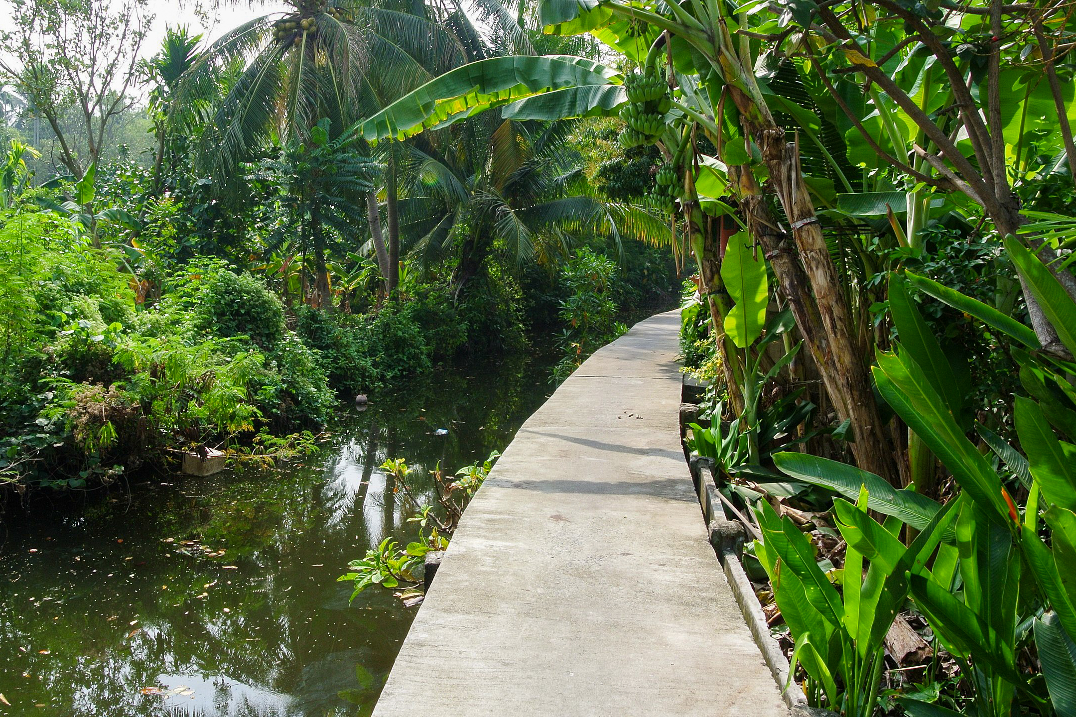 Insel Bang Kachao
