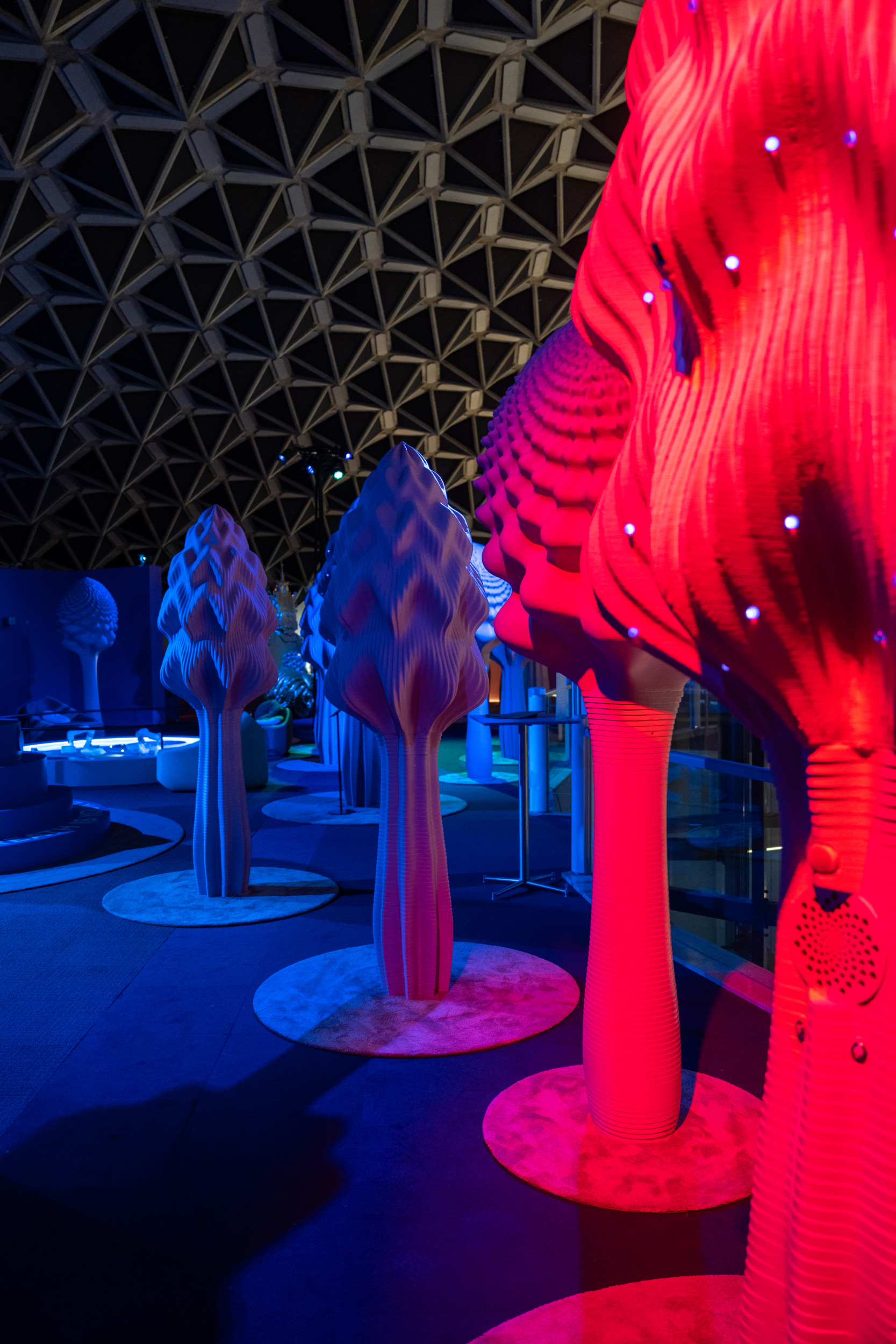 Next Nature Museum
