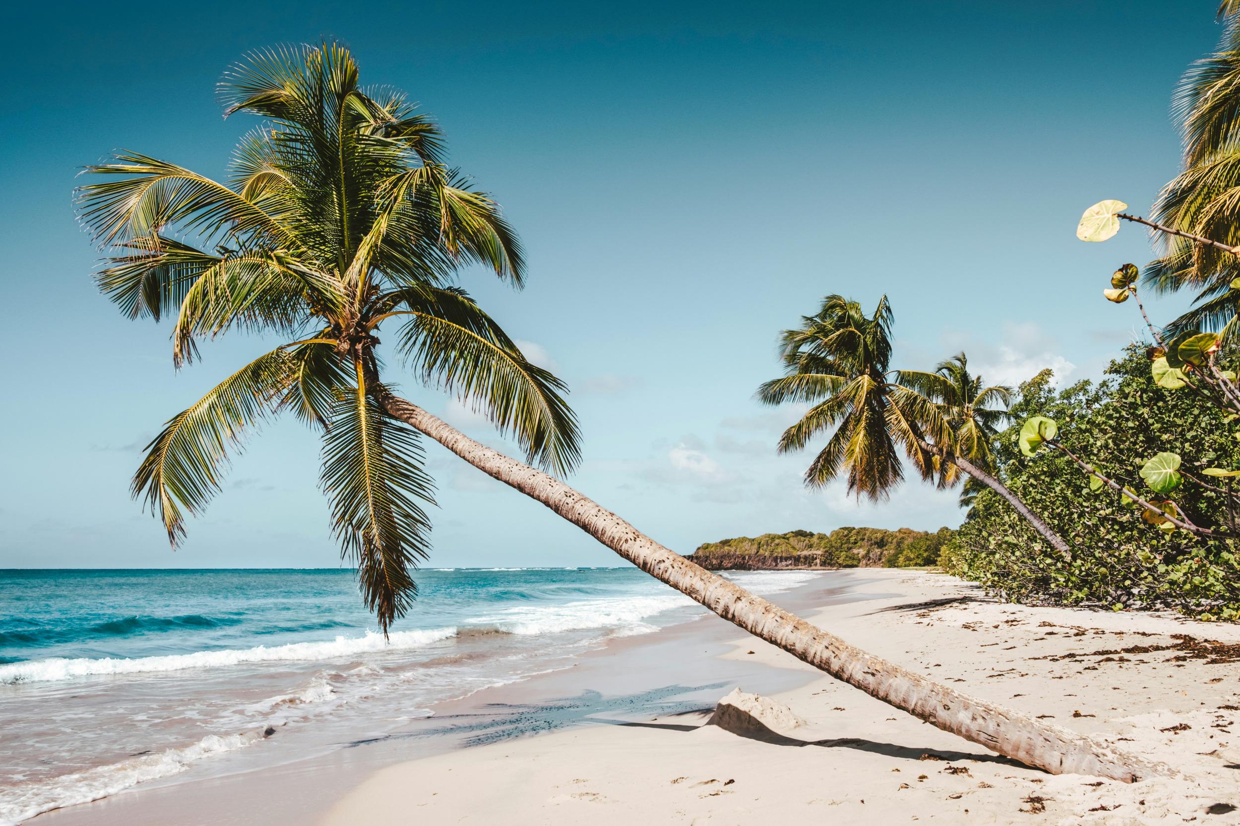 Strände auf Martinique