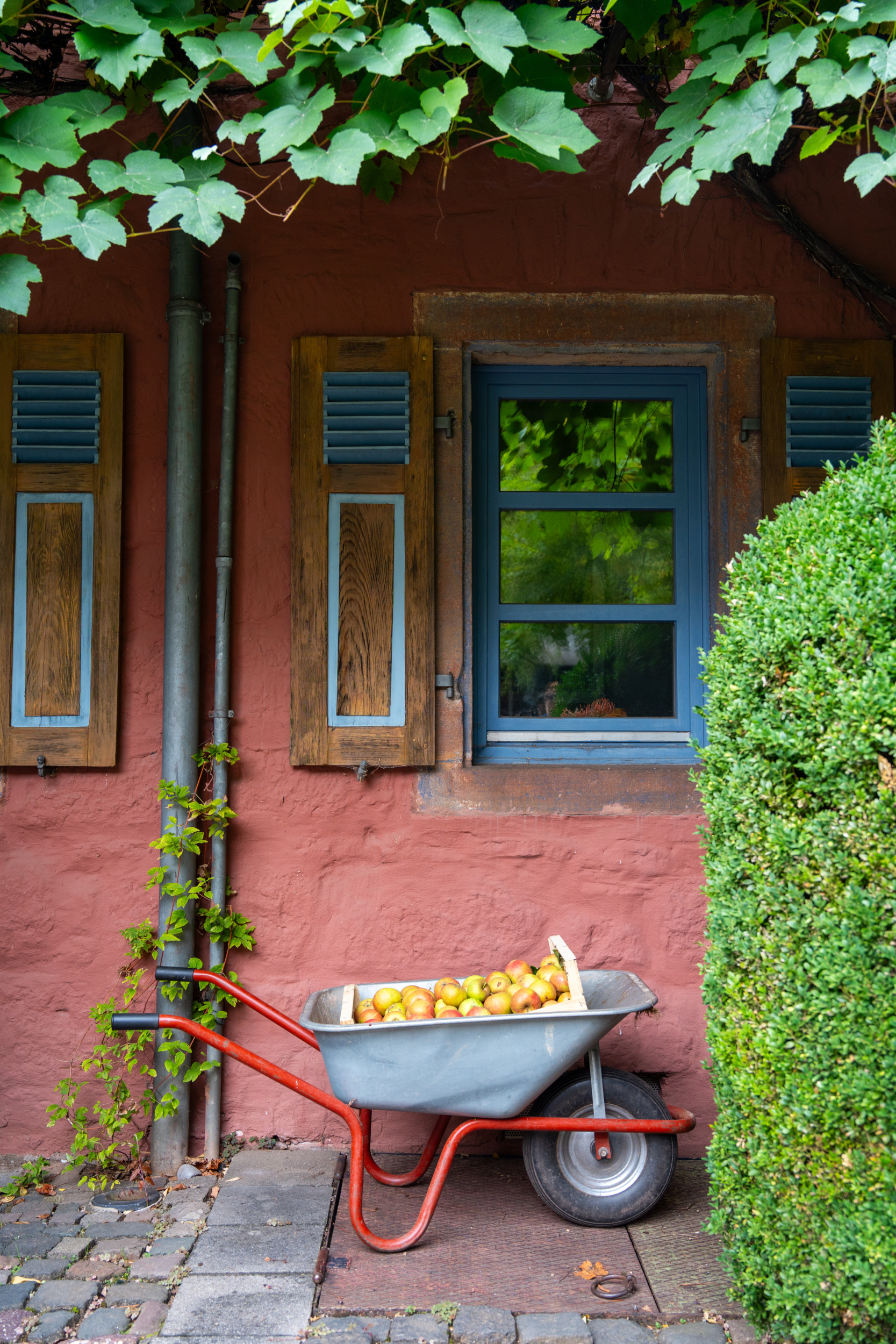Hotel Mühle am Schlossberg Donnersberger Land