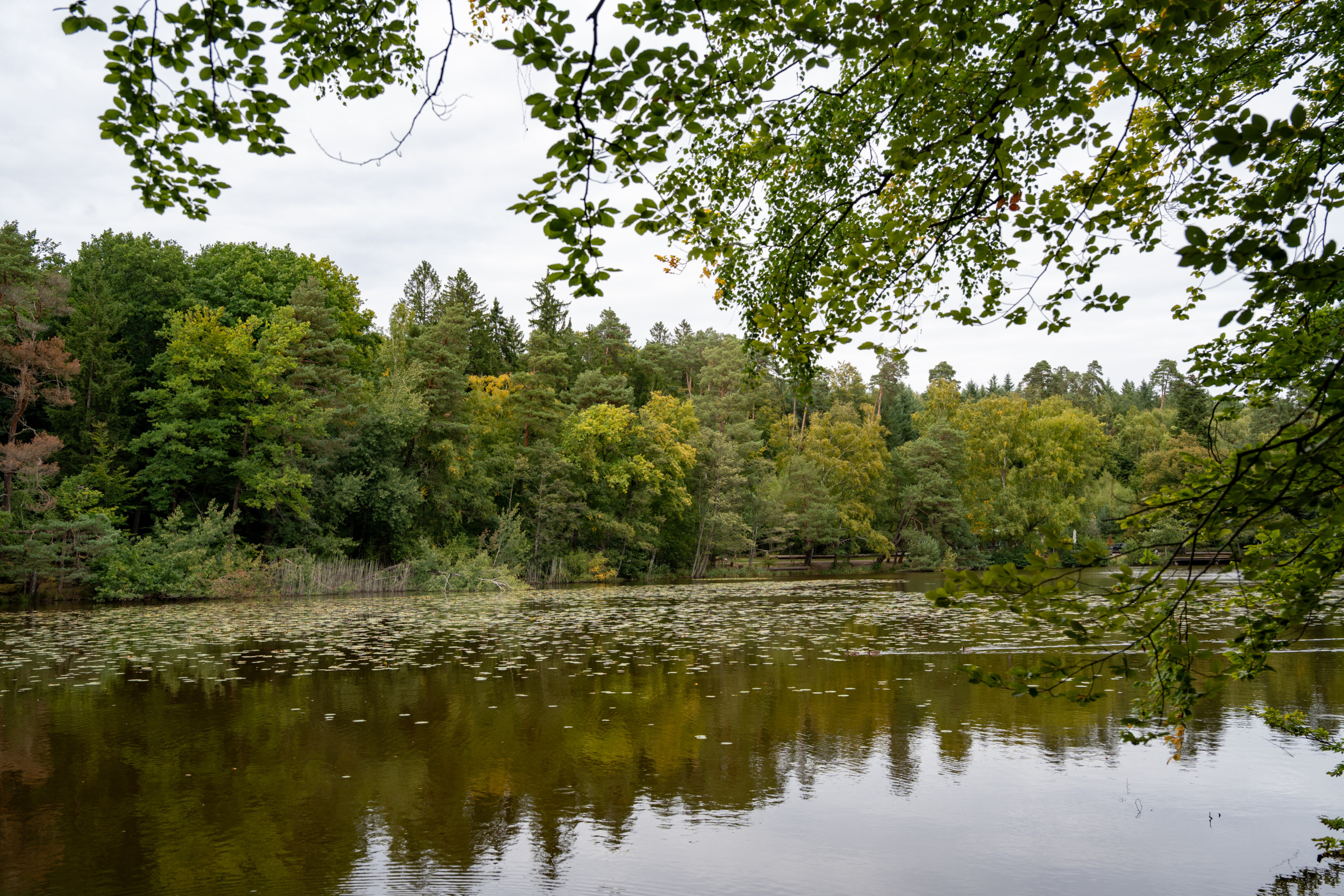 Retzbergweiher Donnersberger Land