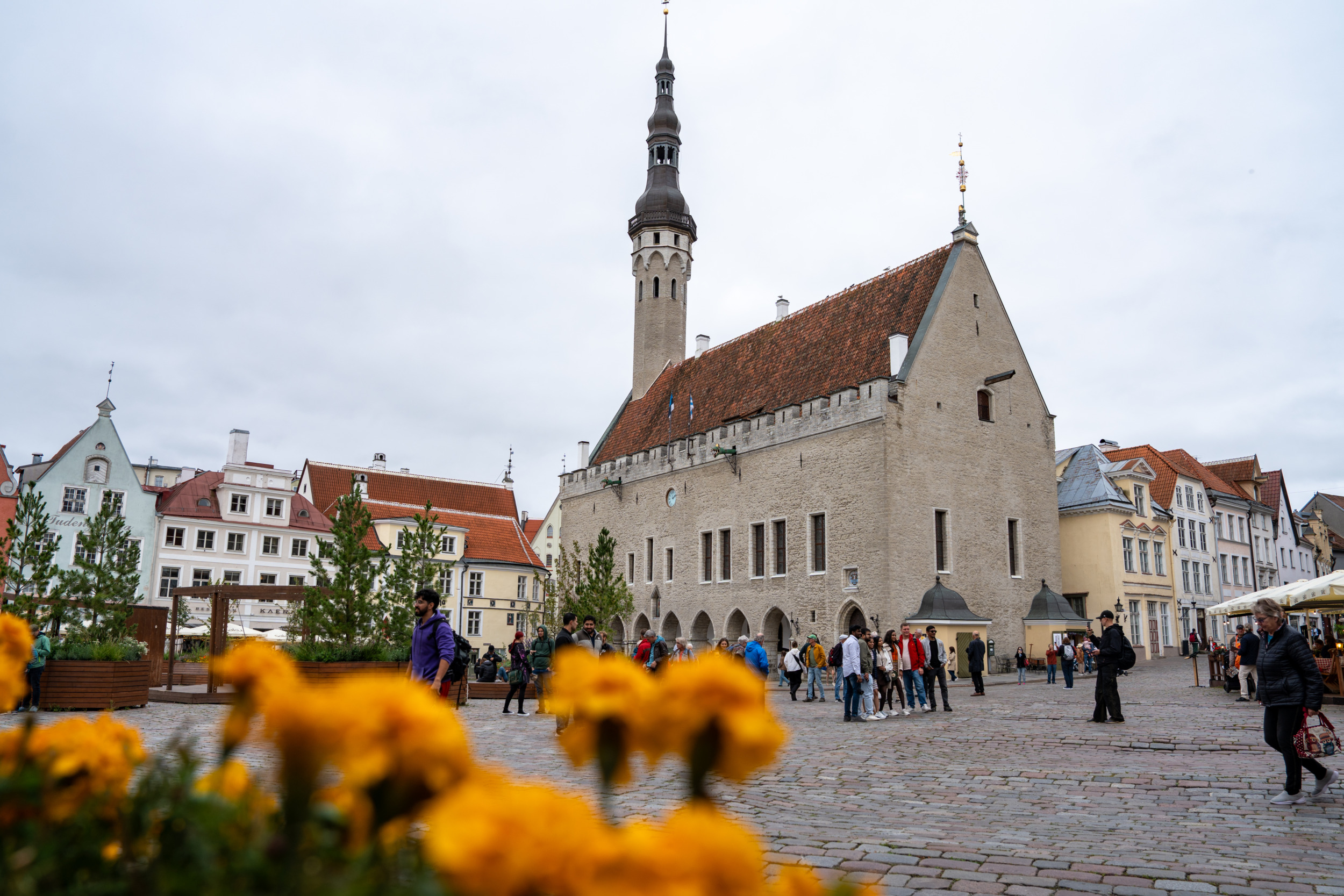 Rathaus Tallin