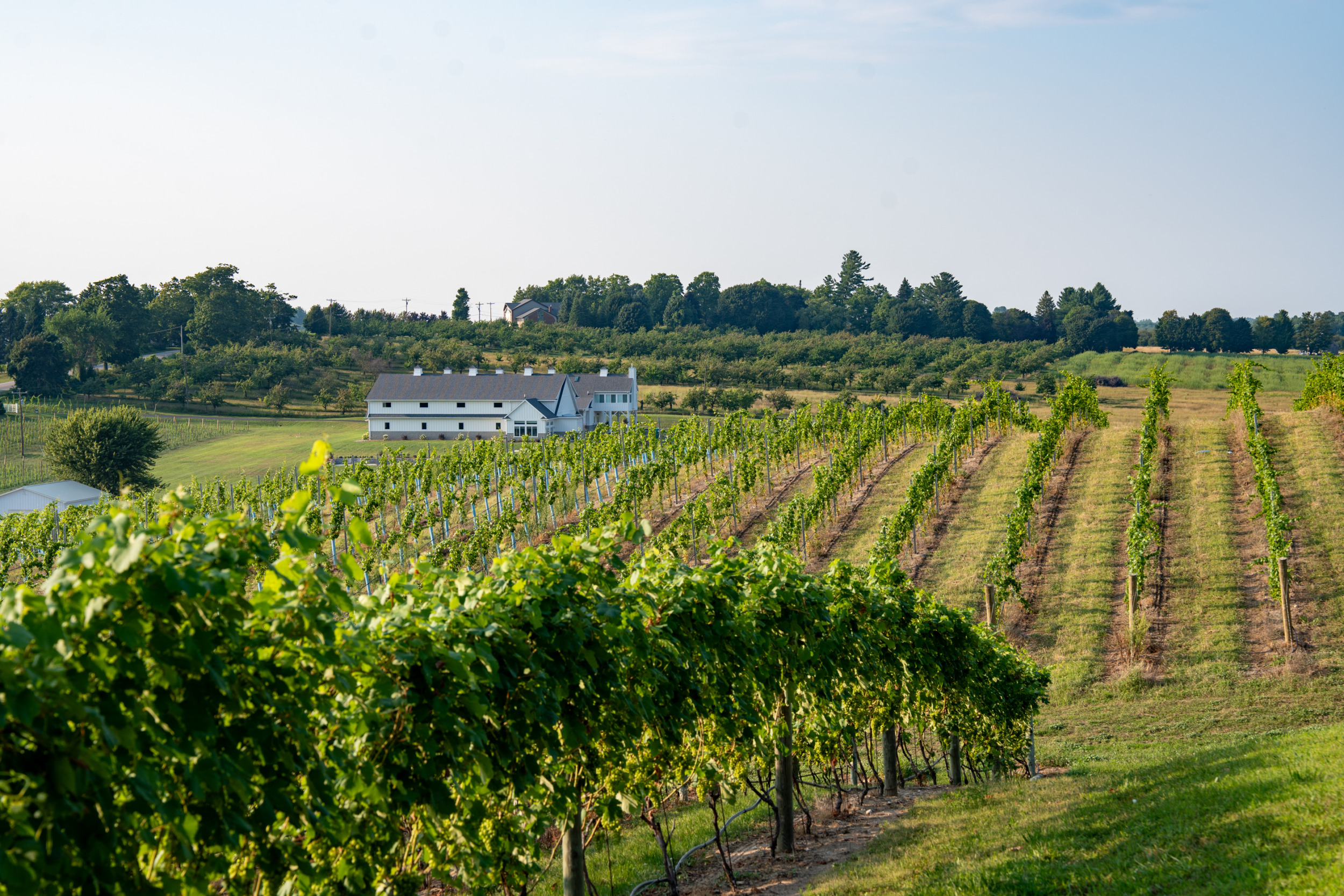 Wine Country Michigan Sehenswürdigkeiten