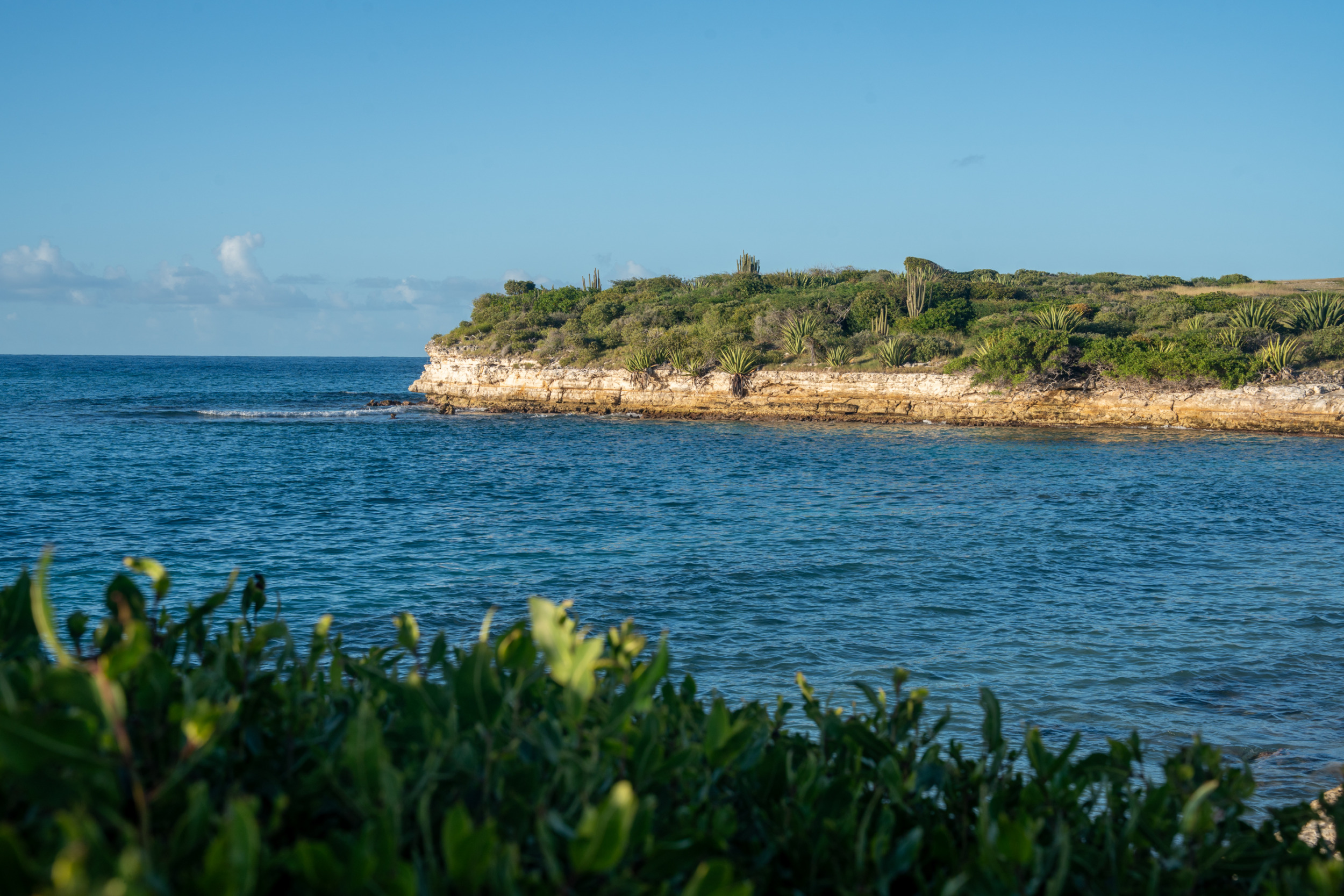 Ausblick auf die Küste