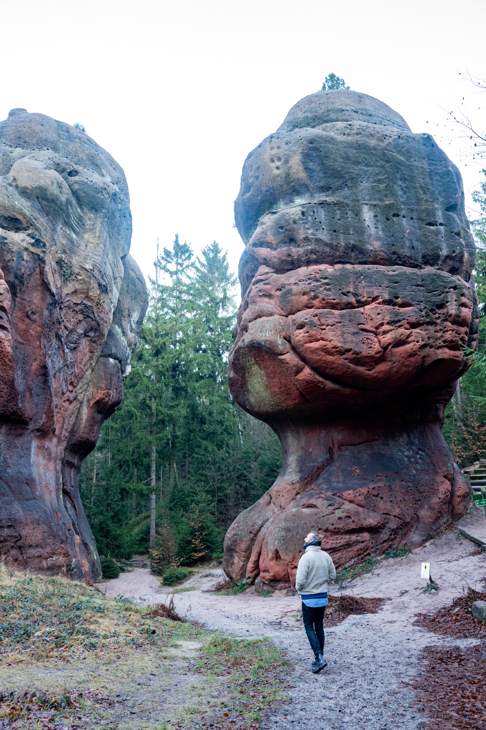 Kelchsteine Oberlausitz