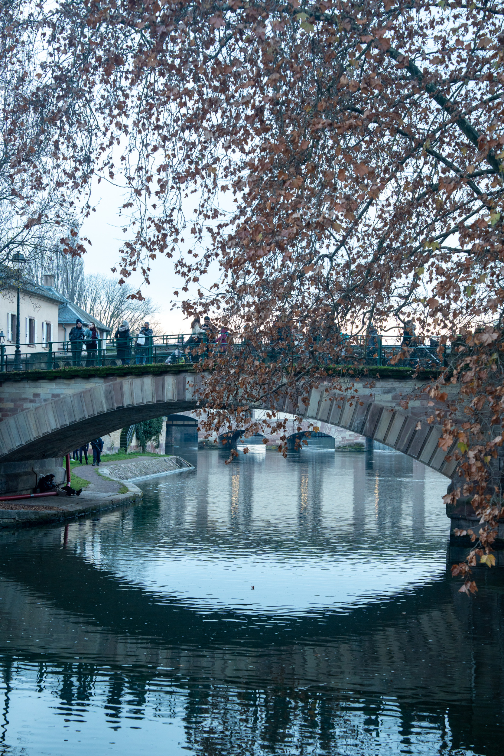 Pont Couvert Straßburg