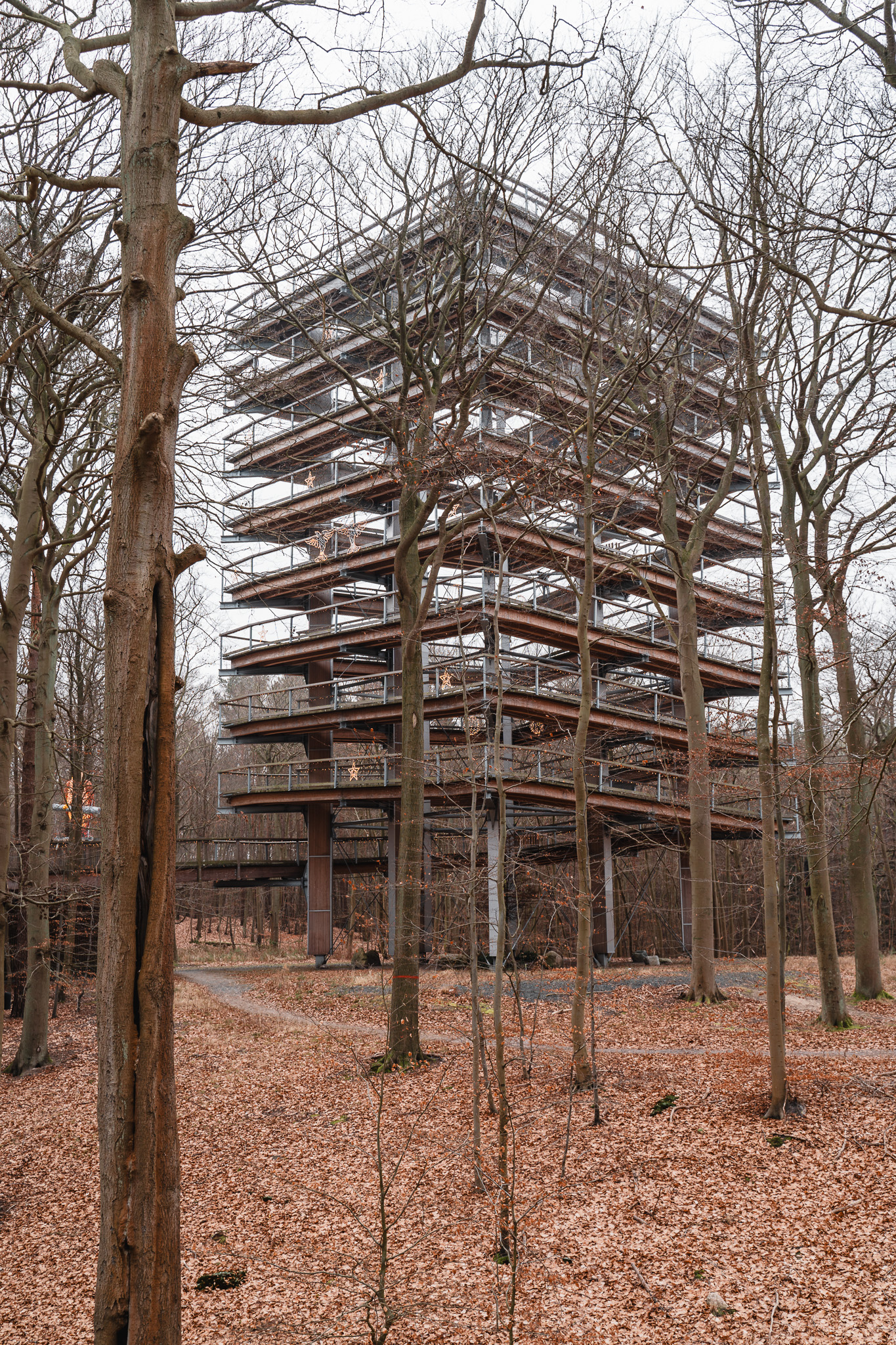 Baumwipfelpfad Insel Usedom