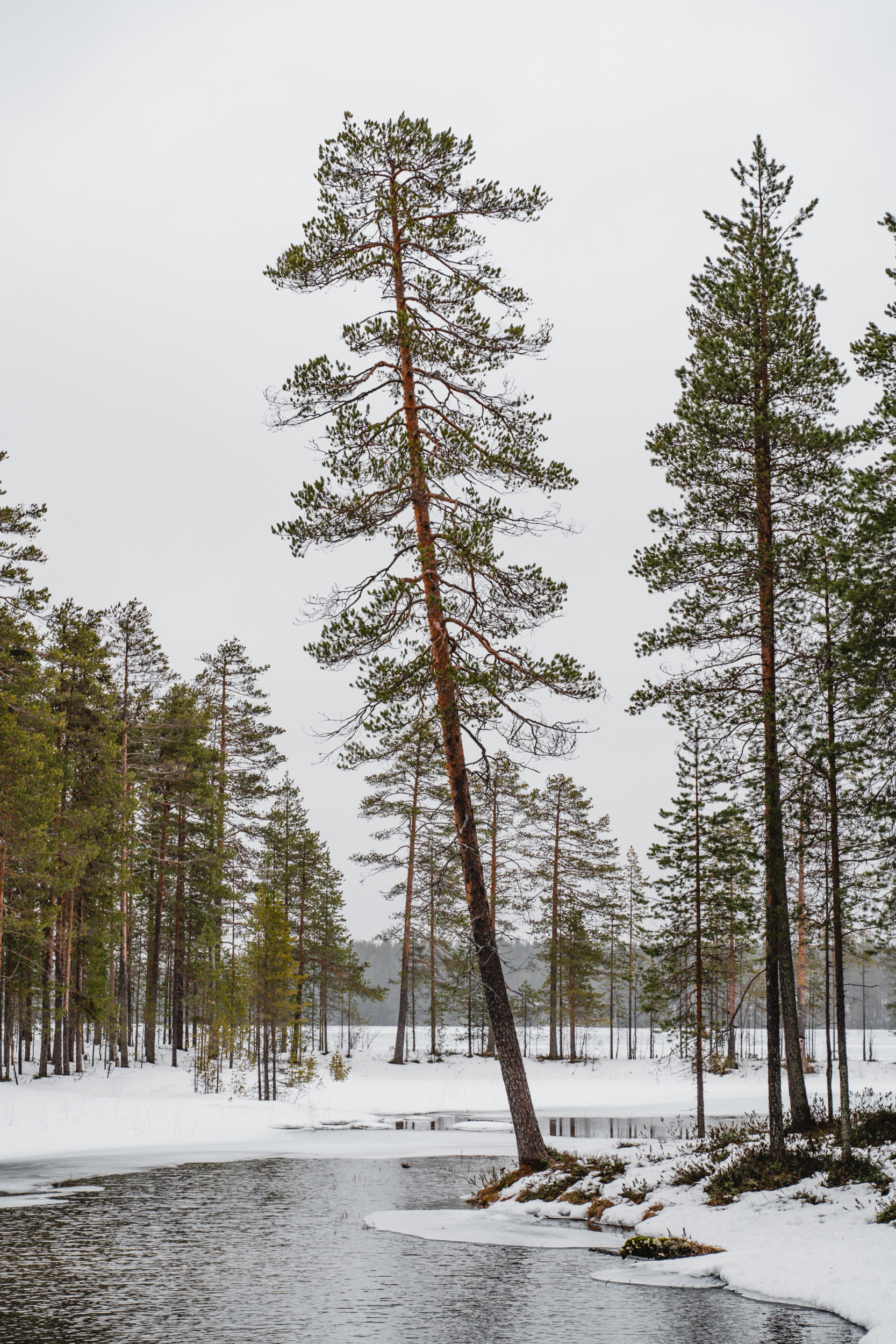 Hossa Nationalpark Suomussalmi
