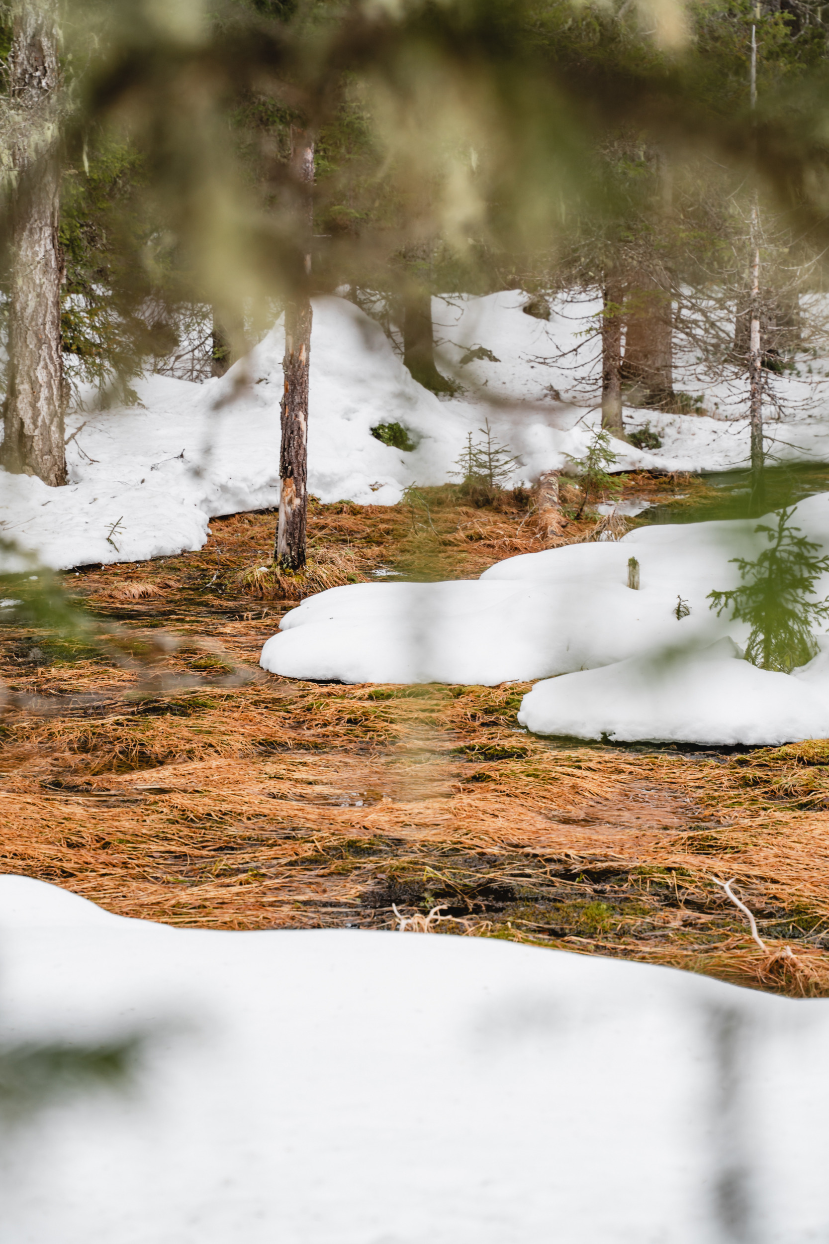 Hossa Nationalpark Suomussalmi