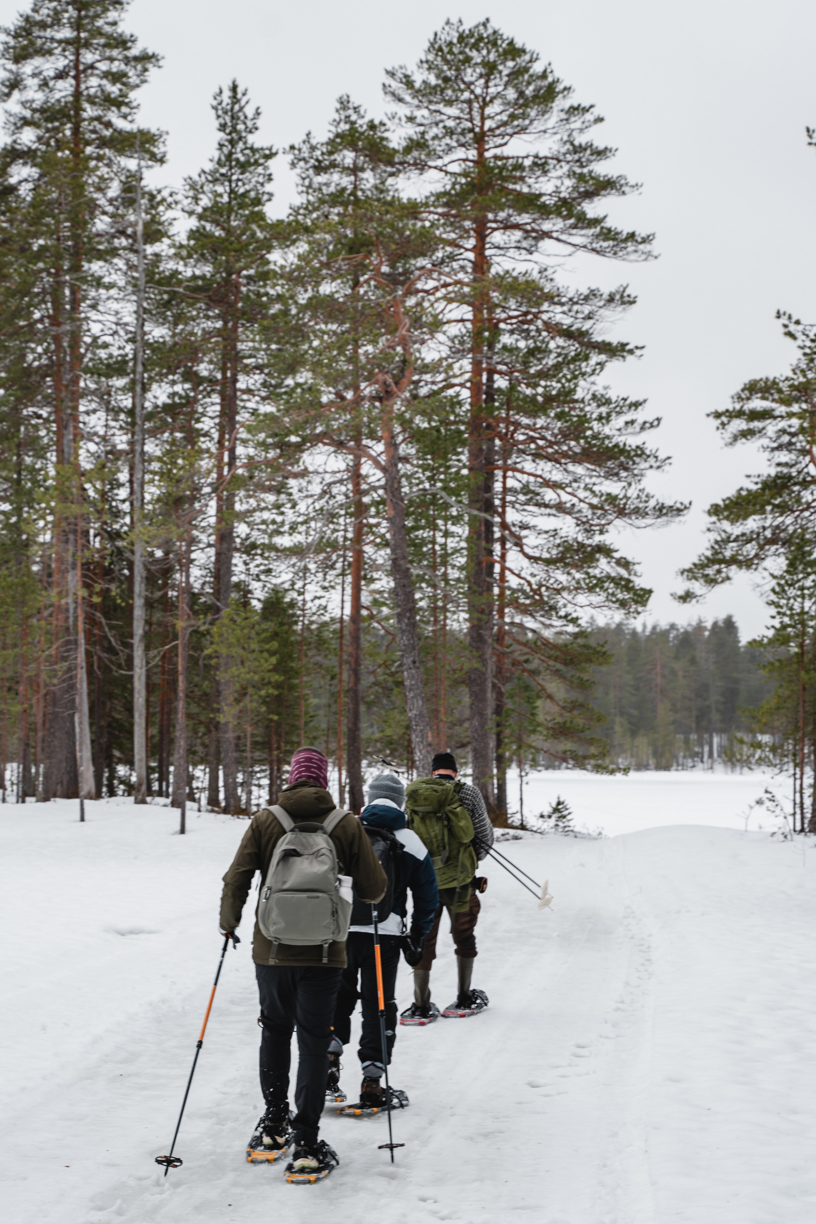 Schneeschuhwandern im Hossa Nationalpark