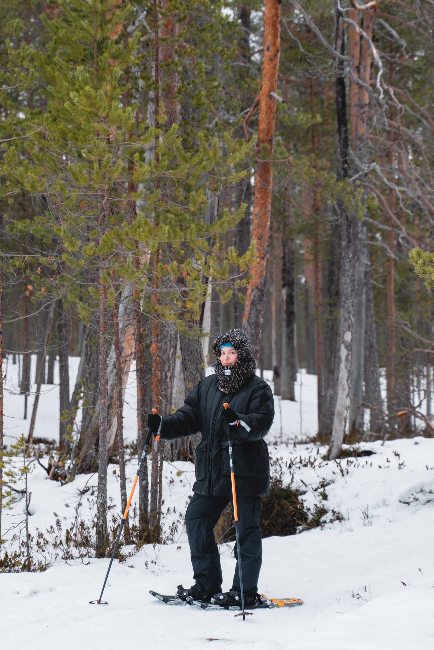 Schneeschuhwandern im Hossa Nationalpark