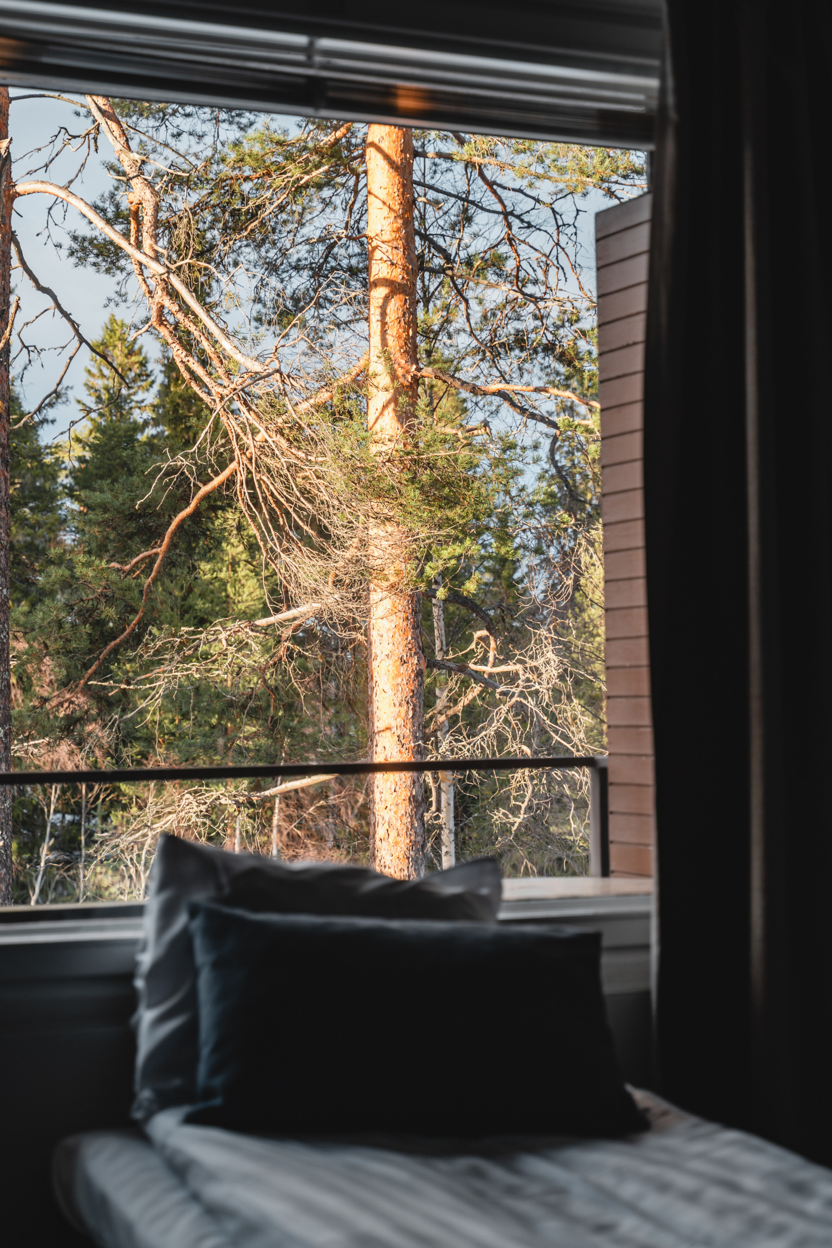 Hotel Spa Kiannon Kuohut