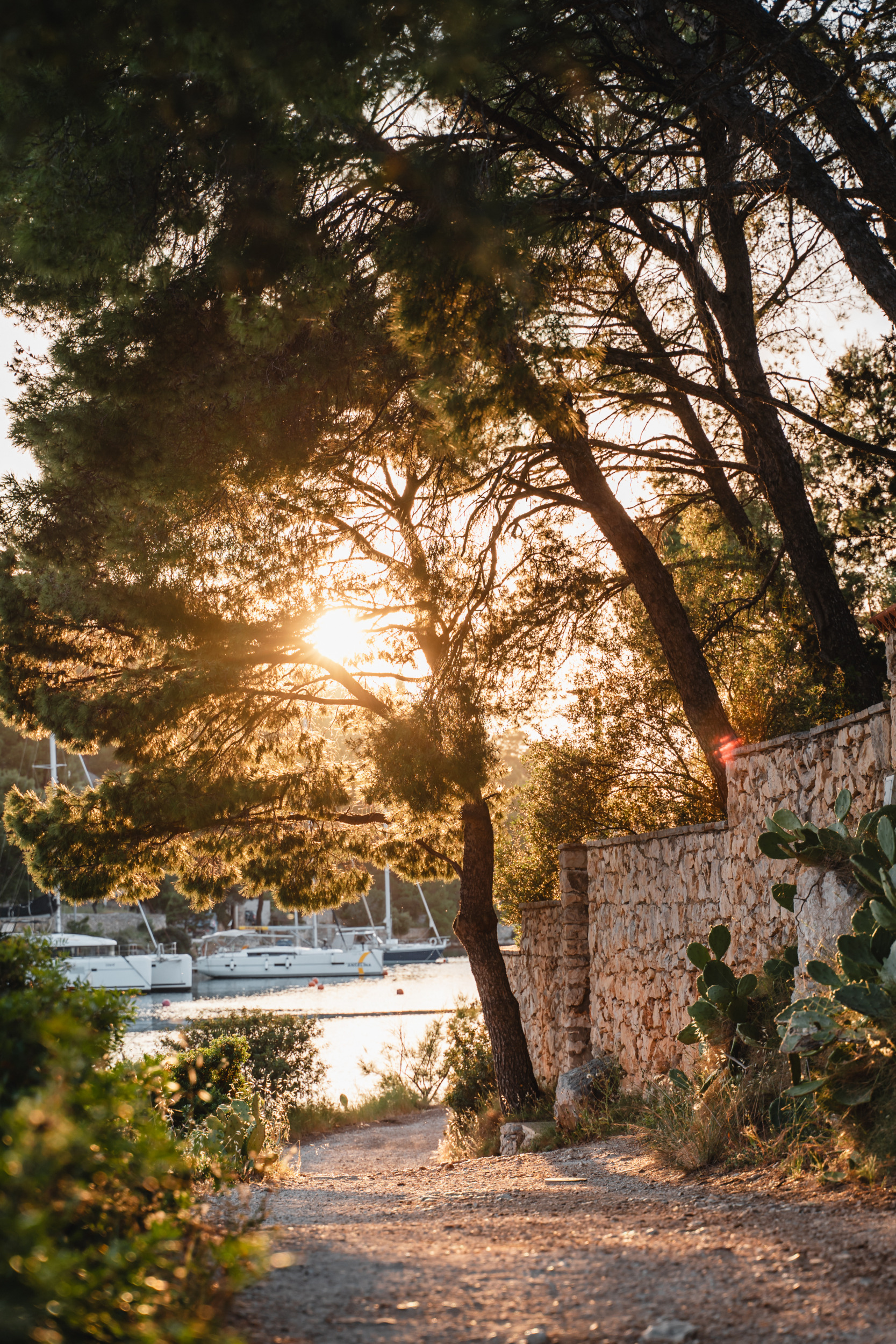 Pinienweg bei Sonnenuntergang in Bobovišća auf Brač