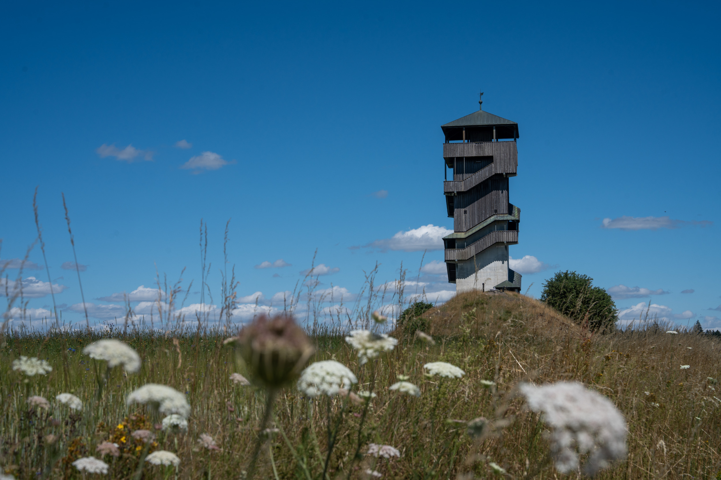 Wasser- und Aussichtsturm Birnbaum