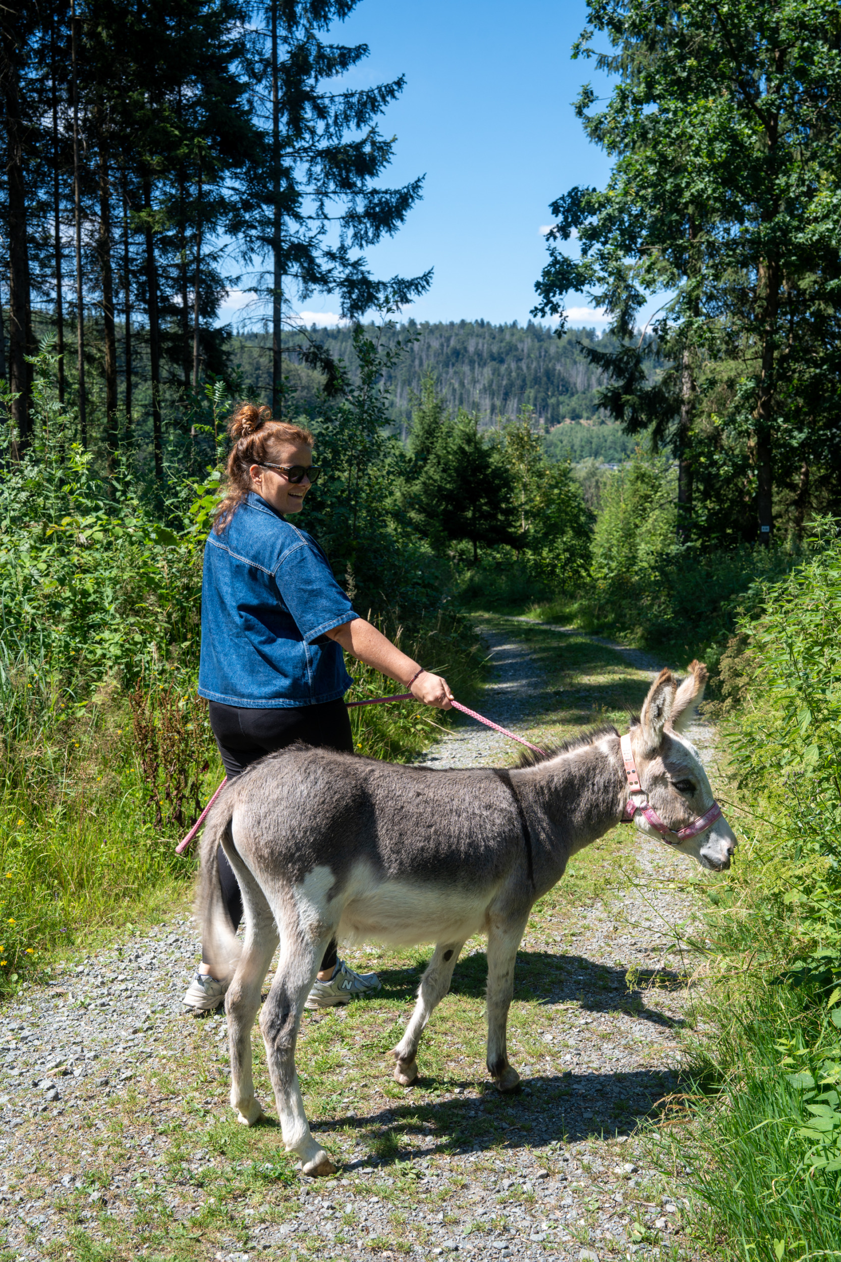 Eselranch im Frankenwald