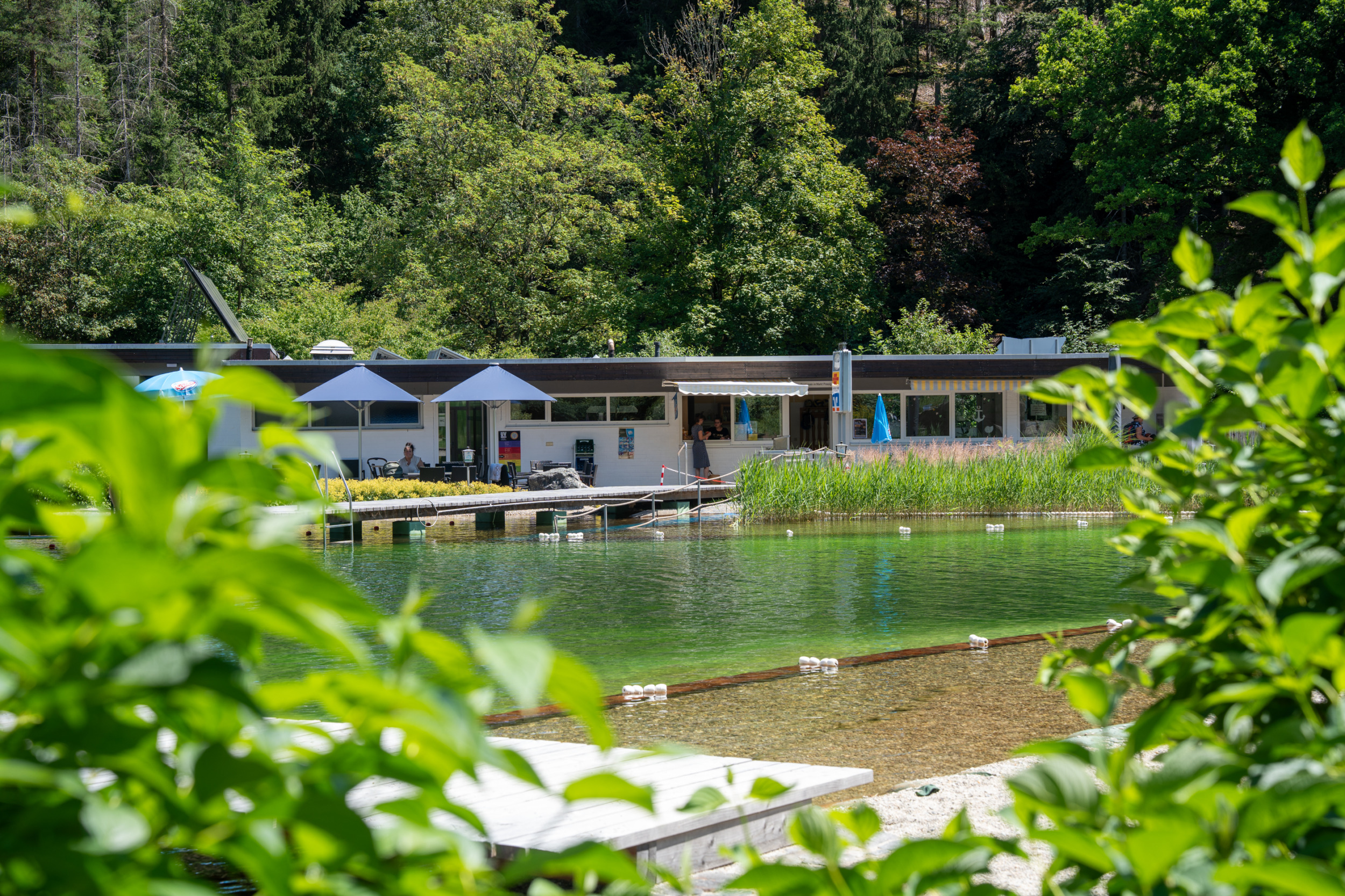 Naturerlebnisbad Rothenkirchen