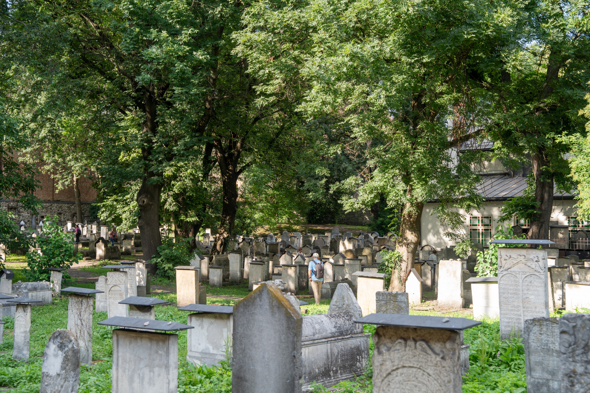 Remuh Friedhof in Krakau